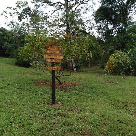 Finca Sueno De Osa Puerto Jiménez Buitenkant foto