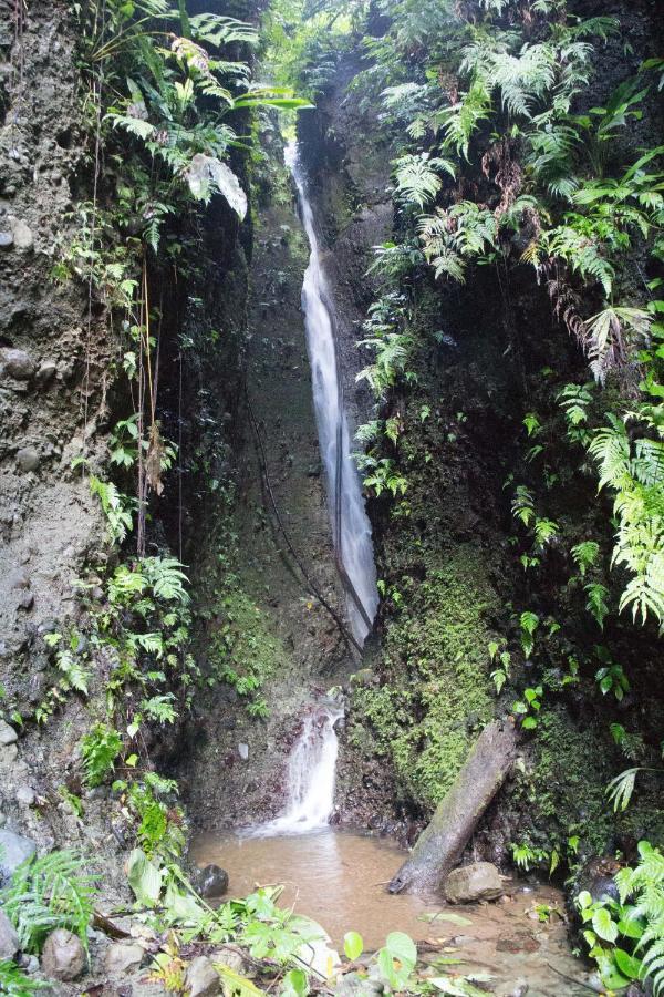 Finca Sueno De Osa Puerto Jiménez Buitenkant foto