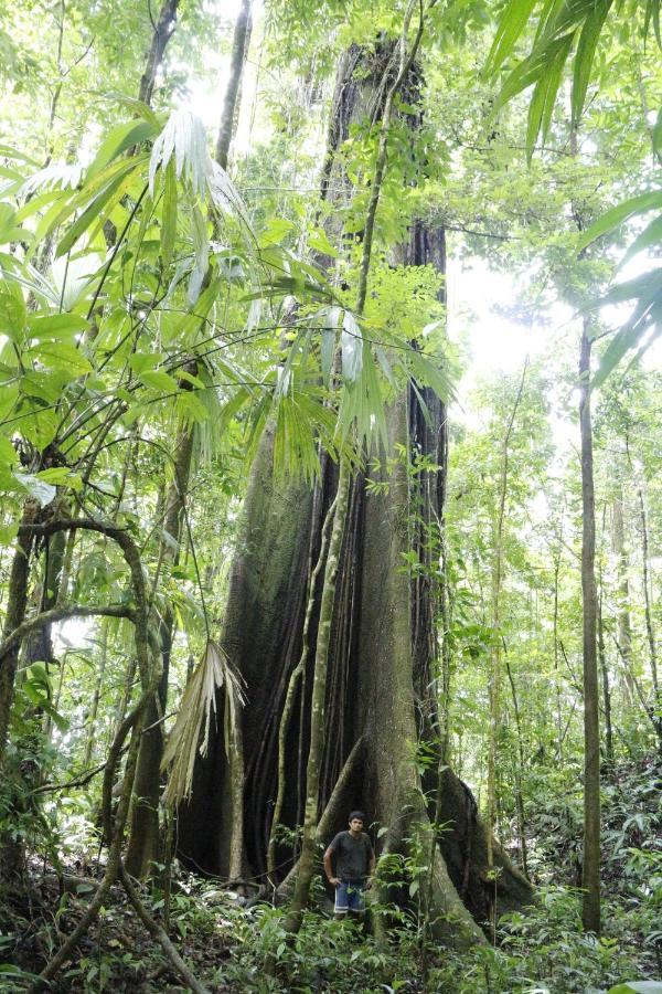 Finca Sueno De Osa Puerto Jiménez Buitenkant foto