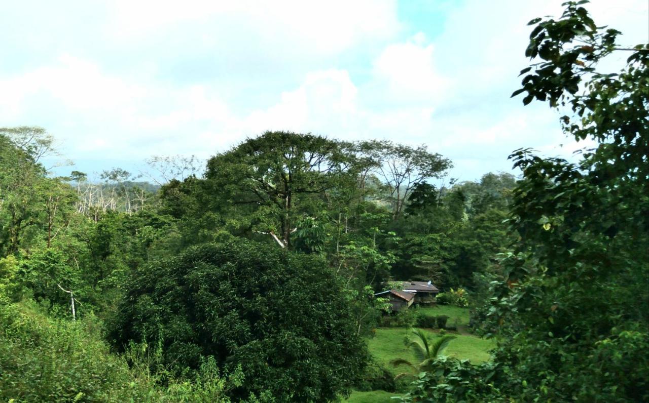 Finca Sueno De Osa Puerto Jiménez Buitenkant foto