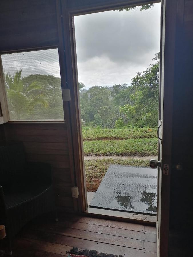 Finca Sueno De Osa Puerto Jiménez Buitenkant foto