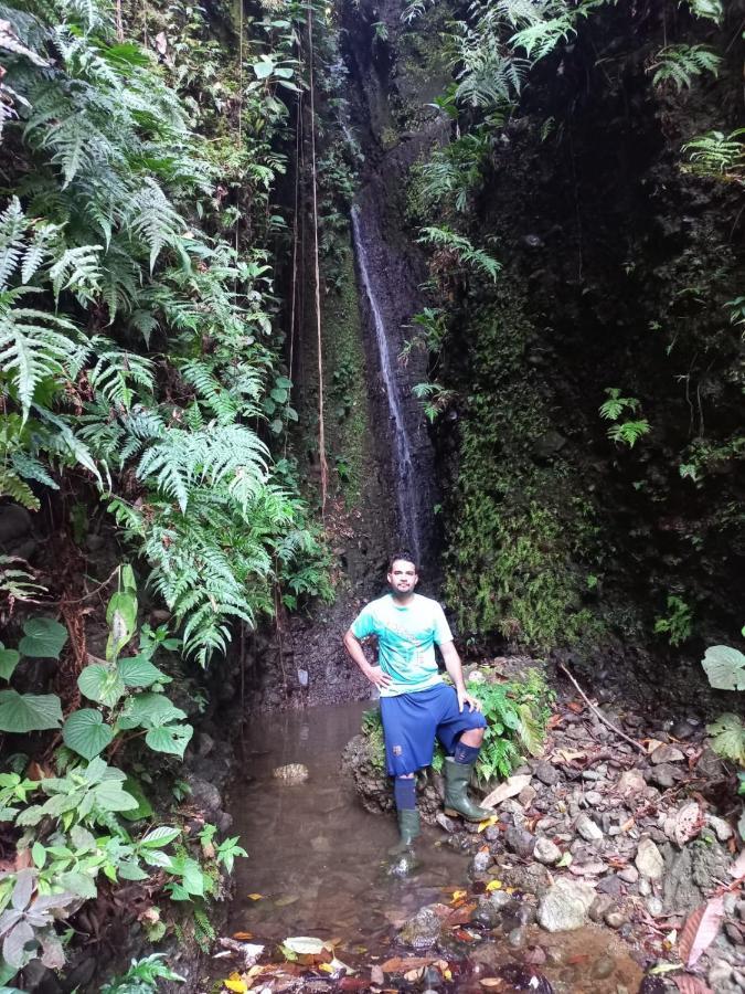 Finca Sueno De Osa Puerto Jiménez Buitenkant foto