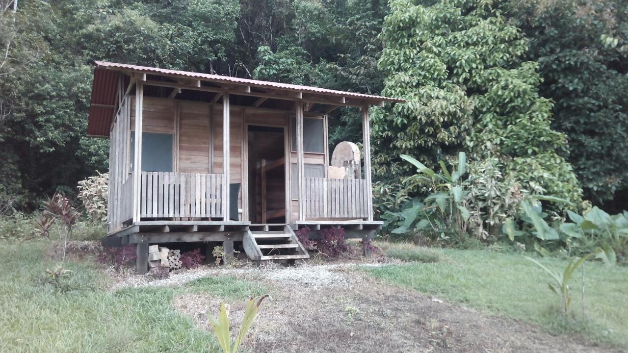 Finca Sueno De Osa Puerto Jiménez Buitenkant foto